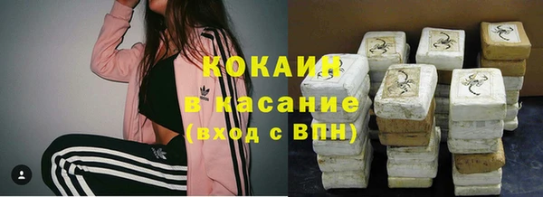 PSILOCYBIN Каменка