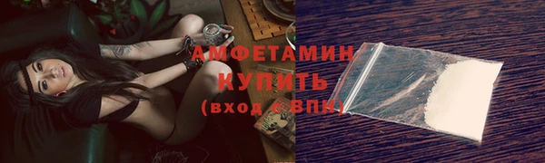 PSILOCYBIN Каменка
