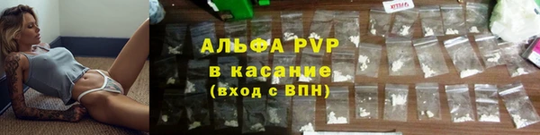 твердый Каменногорск