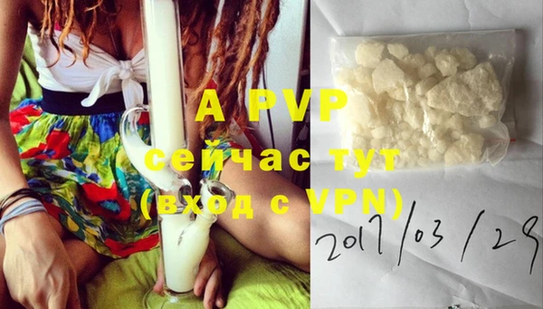 PSILOCYBIN Каменка
