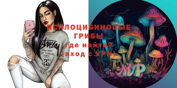 твердый Каменногорск