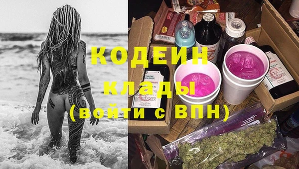 PSILOCYBIN Каменка