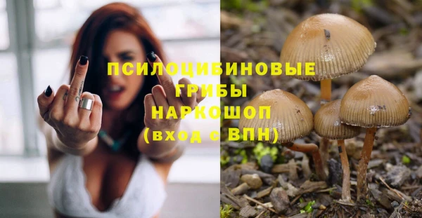 твердый Каменногорск