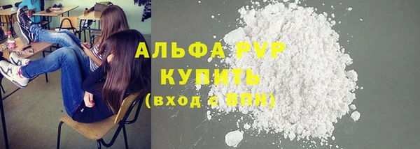 PSILOCYBIN Каменка