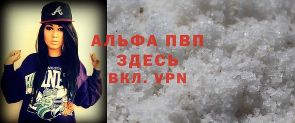 PSILOCYBIN Каменка