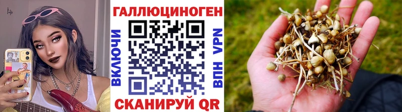 Псилоцибиновые грибы прущие грибы  Купить  Туапсе 